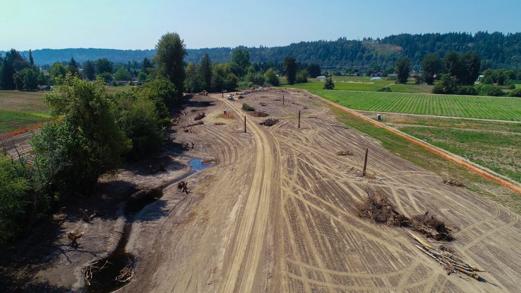 Ball Creek Floodplain Restoration Project in Puyallup, WA