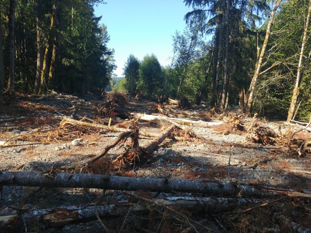 Orville Rd in Orting, WA