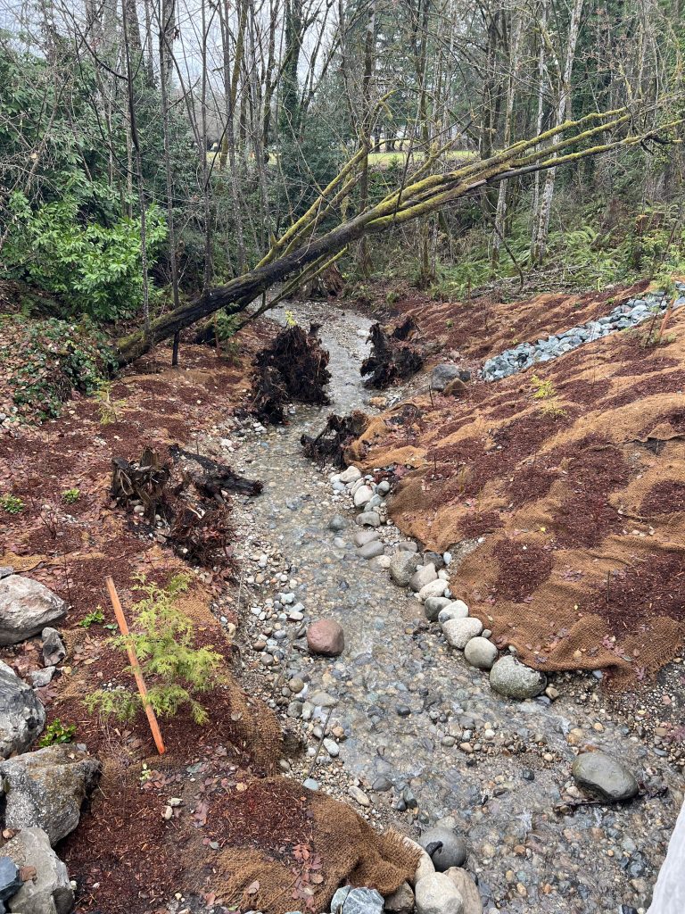 Price Road & Brentwood Drive Culvert in Bremerton, WA