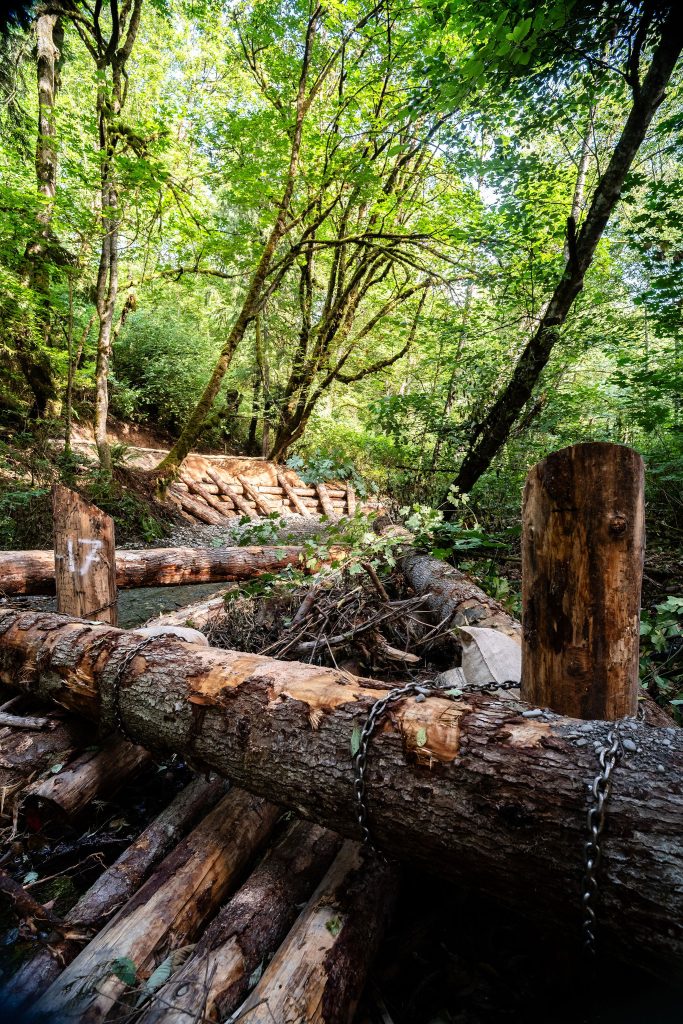 Swan Creek Channel Restoration Phase I in Tacoma (Swan Creek Park)