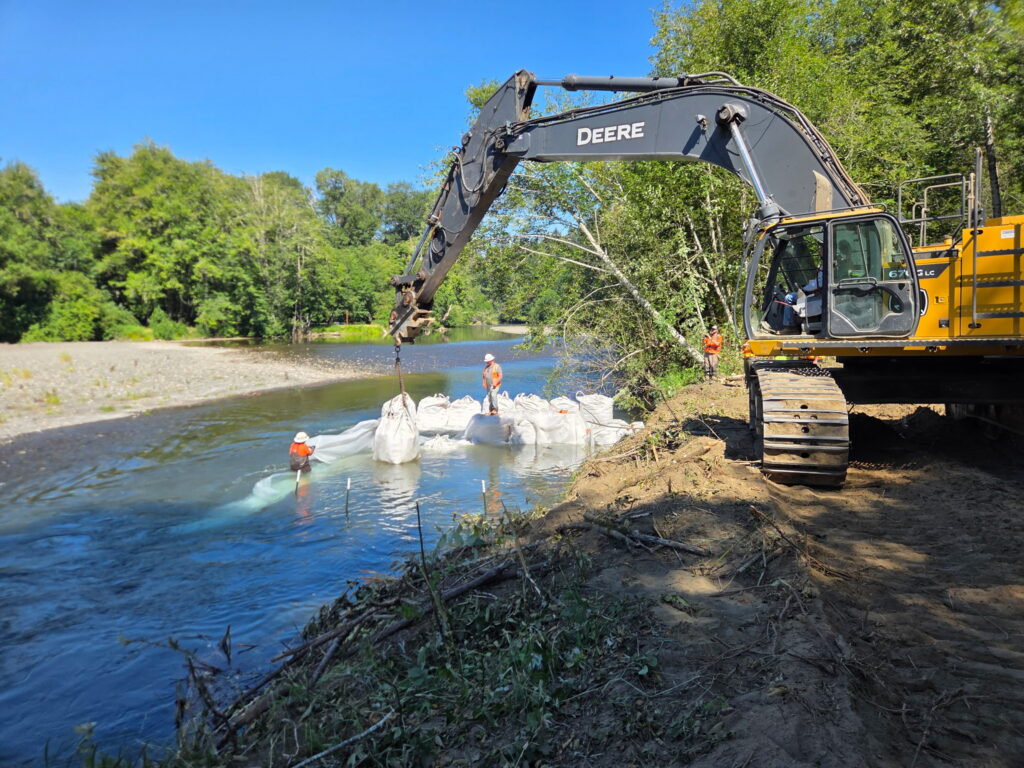 Big milestone today on the Skokomish River!